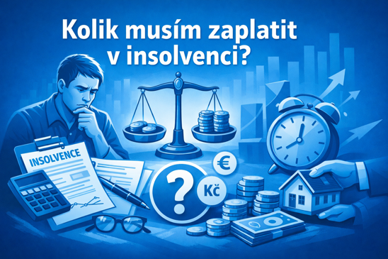 Placení insolvence